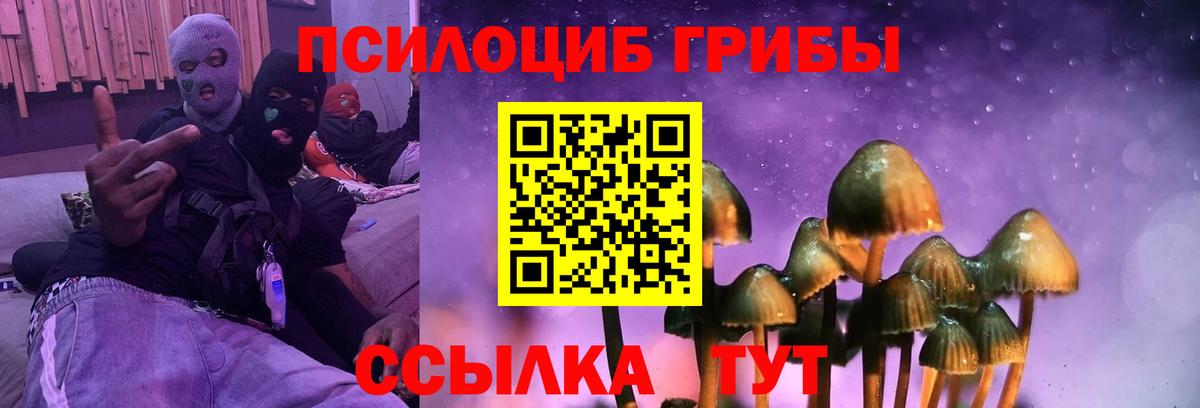 Псилоцибиновые грибы ЛСД  Галлюциногенные грибы Psilocybe  Вход с VPN  Приморско-Ахтарск 